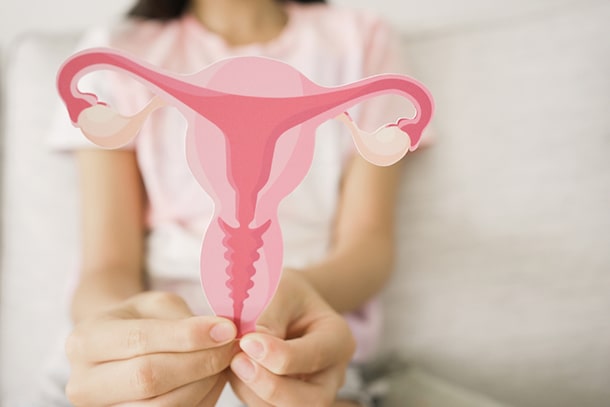 Ein Mädchen hält ein Bild eines Uterus hoch.